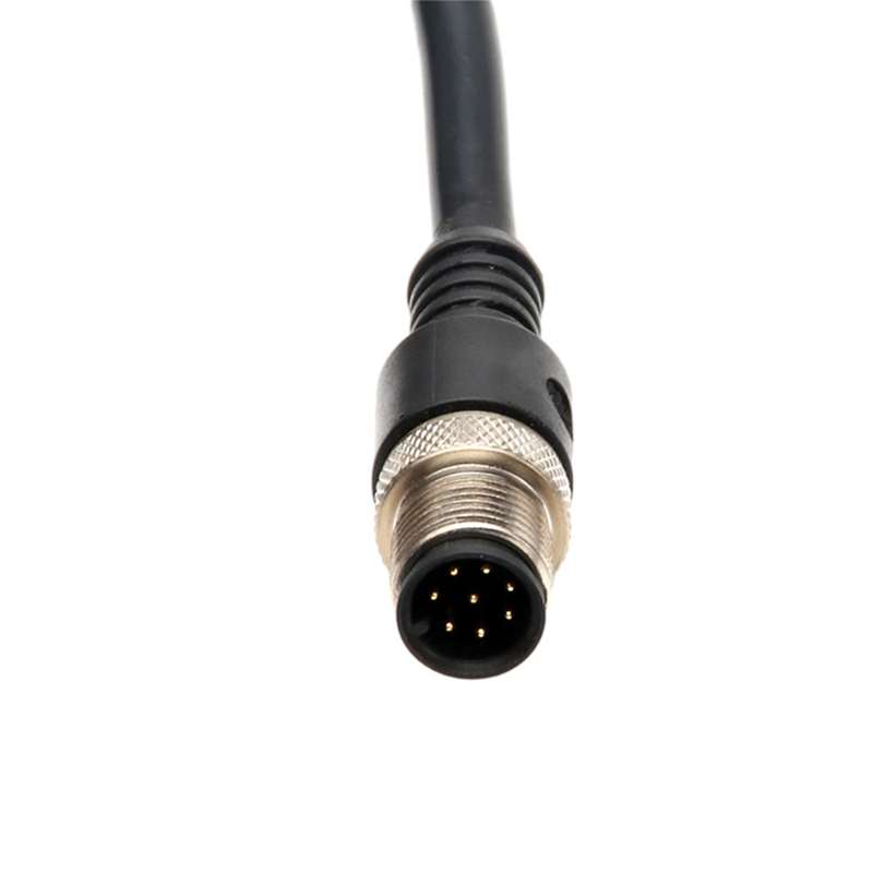 Cáp điện góc phải với đầu nối M12 chống nước IP67 2 chân 3 chân 4 chân